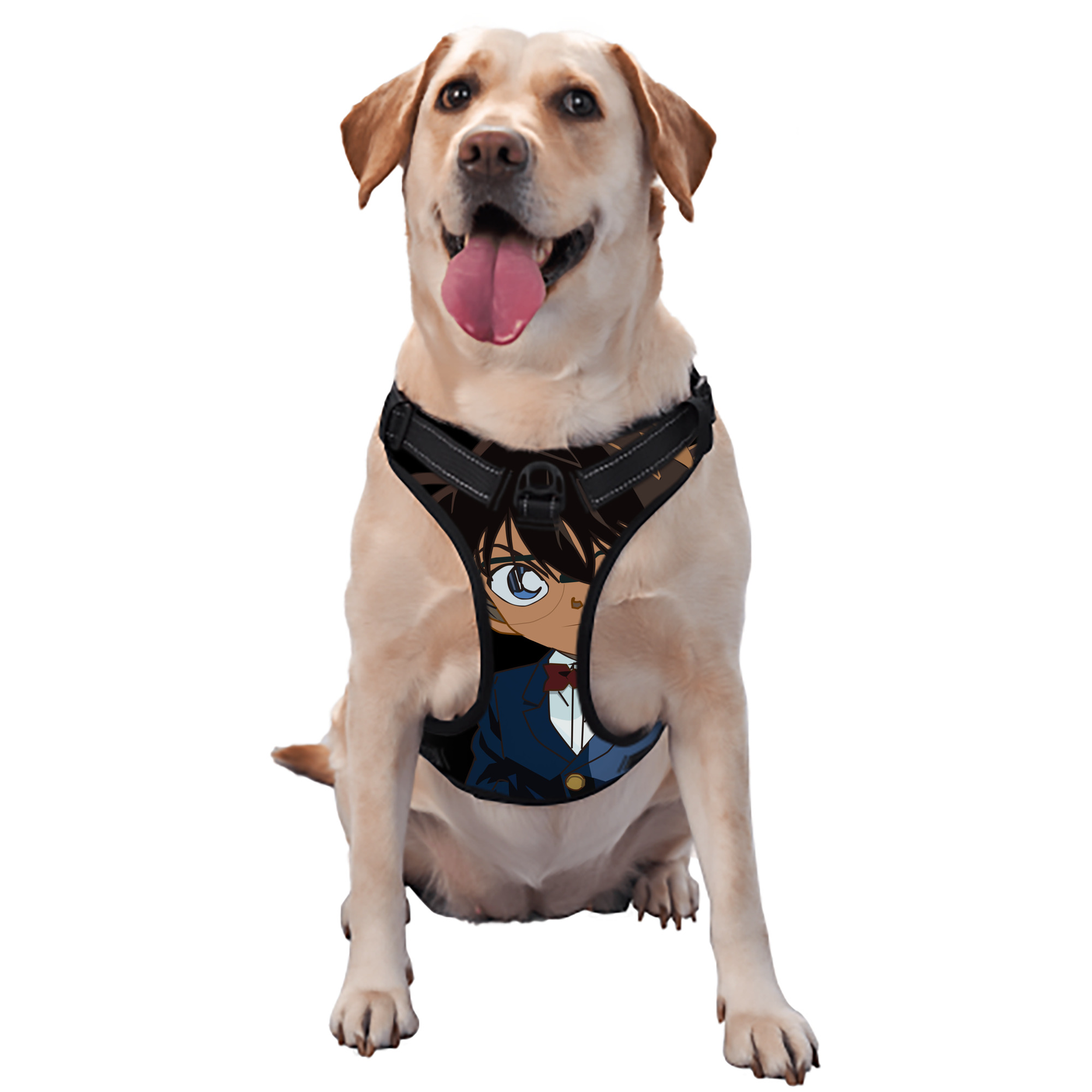 （画像用） 名探偵コナン 江戸川 コナン Detective Conan Conan Edogawa ペット用ハーネス